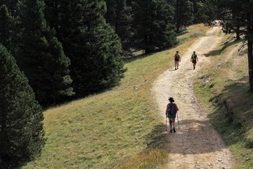 rando sur le plateau du Vercors