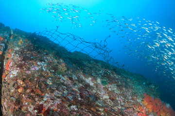 Fototapeta na wymiar A ghost fishing net snagged on corals on a tropical reef in Myanmar