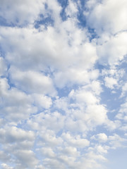 Clouds cumulus in blue sky, illuminated and white, transmit peace and tranquility, calming the spirit.