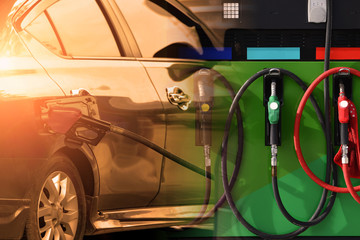 Filling gasoline in car with a nozzle.