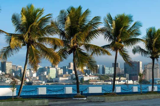 Rio de Janeiro City Downtown View Through Palm Trees