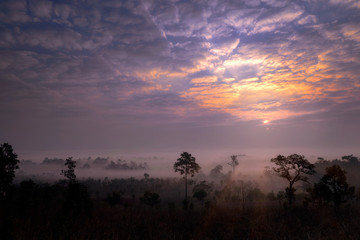 Fototapeta na wymiar Thung salaeng Luang National Park ,Thailand.