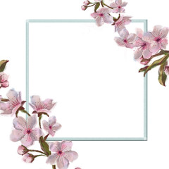 Fototapeta premium Pink Flower Decorated Corners Square Frame Isolated on White. Square Template Framed and Decorated with Pink Spring Flowers.