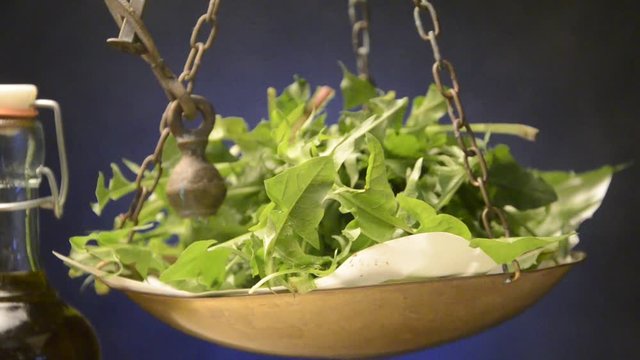 Silvana Comugnero  Taraxacum officinale Խատուտիկ սովորական video שינן רפואי T&uacute;nf&iacute;fill movie セイヨウタンポポ  西洋蒲公英 Tarassaco &Tau;&alpha;&rho;ά&xi;&alpha;&kappa;&omicron;&sigmaf; &omicron; &phi;&alpha;&rho;&mu;&alpha;&kappa;&epsilon;&upsilon;&tau;&iota;&kappa;ό&sigmaf; El diente de le&oacute;n 