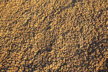 Textures of Erosion in Badlands National Park, South Dakota