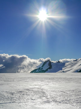 view of Fox Glacier, New Zealand