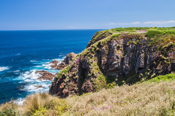 Phillip Island Coast Line