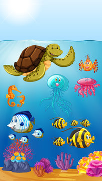 cute marine animals underwater