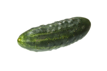 cucumber isolated on white background