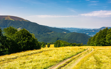 Obraz premium Country road down the alpine meadow . beautiful summer landscape in mountains