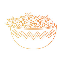 fresh bowl with grapes healthy food