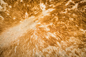 Surface of leather and fur