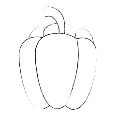 fresh pepper vegetarian food