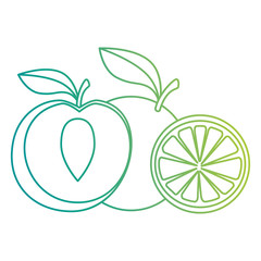 fresh peach and orange healthy food