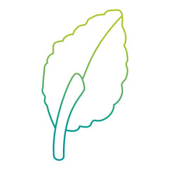 leaf plant isolated icon