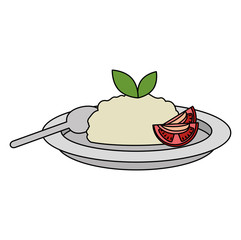 dish with rice and tomatoe