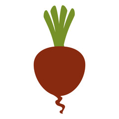 fresh beet vegetarian food