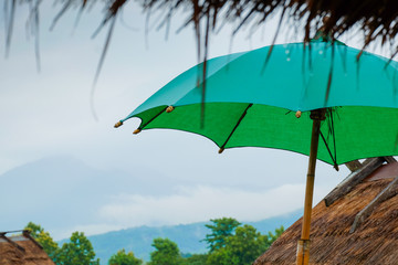 Green umbrellas and nature views