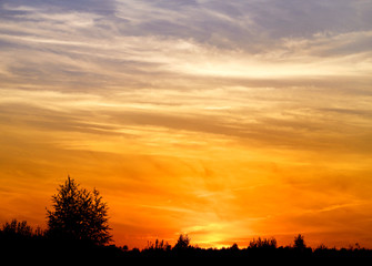 Beautiful photo of a bright sunset