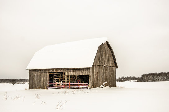 Brown Barn with a Red Gate