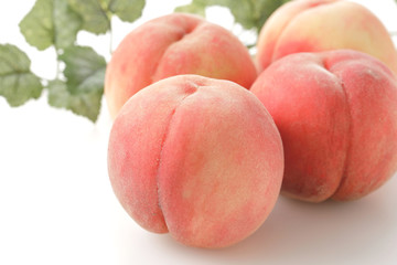 桃　Peach