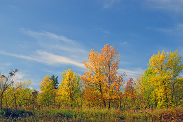 russian autumn landscape