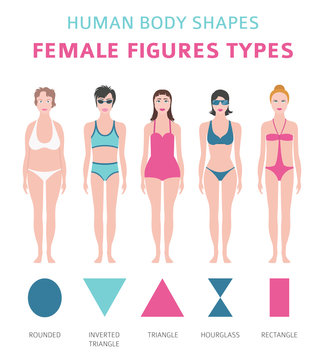 Human body shapes. Female figures types set