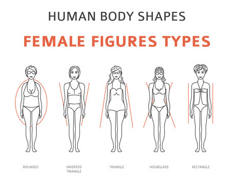 Human body shapes. Female figures types set. Simple line design