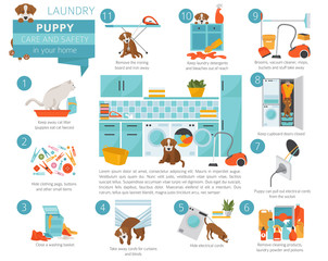 Puppy care and safety in your home. Laundry. Pet dog training infographic design