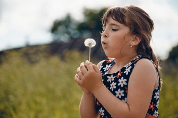 beautiful girl in the field blowing dandelion
