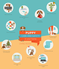 Puppy care and safety in your home. Living room. Pet dog training infographic design