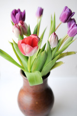 Pink and lilac tulips in a brown clay jug. On white background, isolated