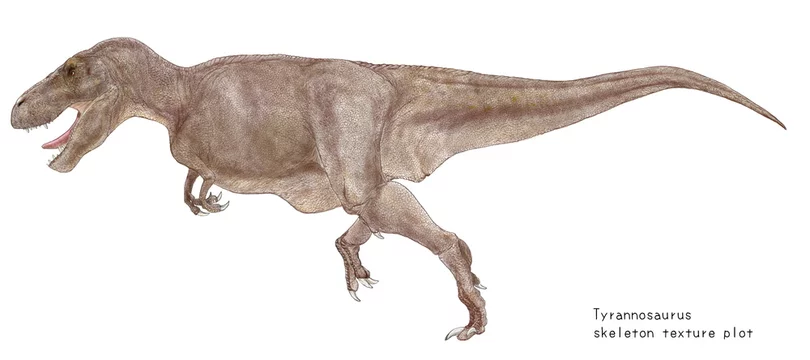 大流行中 ポスター ファウンドリー 本物そっくり ティラノサウルス レックス Trex 恐竜 シルエット 写真 リアルなレンダリング ドローイング イラスト 動物 マット フレーム入り アート 壁装飾 x26 Cougaropen Com
