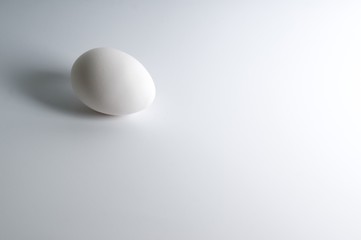 Hen eg on a white background