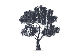 Silhouette tree illustration
