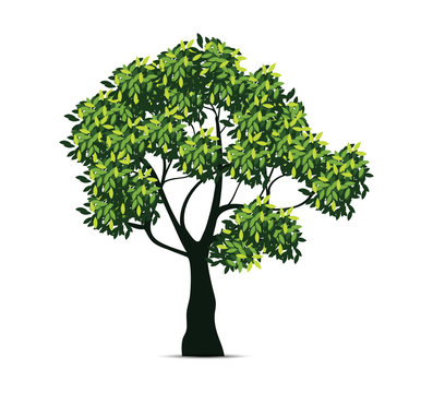 Realistic design of tree illustration