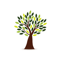 Tree Icon in white background