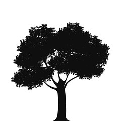 Vector illustration : Tree silhouettes in white background