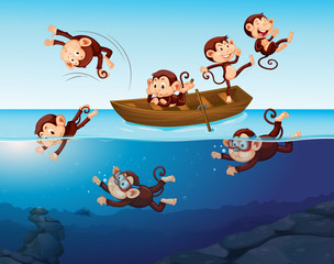 Monkey having fun in the sea