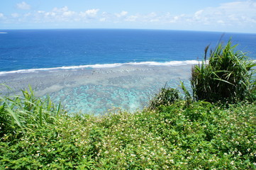 宮古島　サンゴ礁