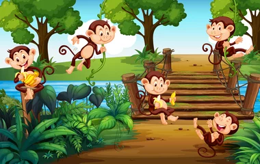 Foto op Plexiglas Kinderkamer Een groep apen in het park