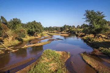 Zelfklevend Fotobehang Luvuvhu river in Pafuri, Kruger National park, South Africa © PACO COMO