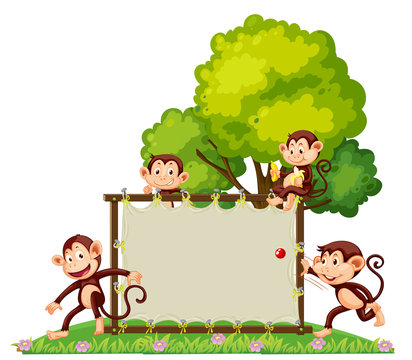 A group of monkey playing at the banner