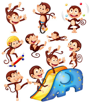 A set of monkey character