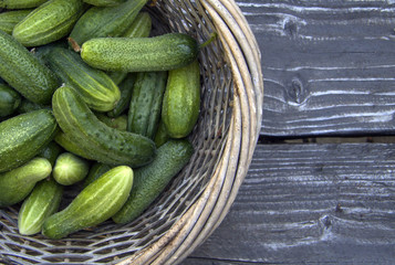 Vegetarian food, harvest, juicy vegetables, cucumbers  in a rustic  basket in wood table 