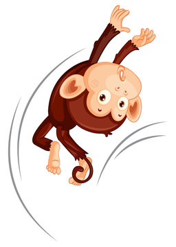 A monkey jumping on white background