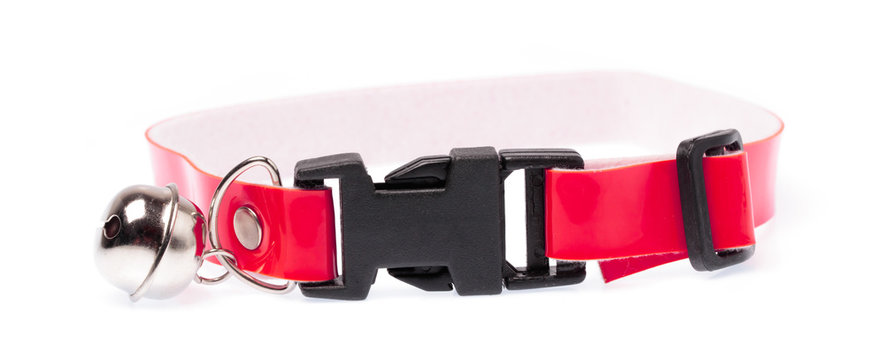 A Red Dog Collar Isolated On A White Background