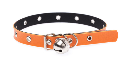 Orange leather dog collar isolated on white background