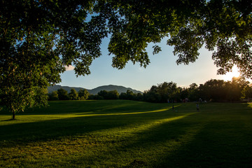 Bright afternoon in the neighborhood park 
