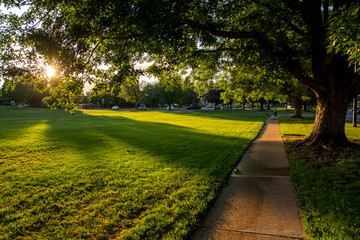 Obraz premium Bright afternoon in the neighborhood park 